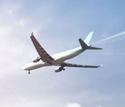 ˾W(wng)վİϾ(xin)--gӭѶཨh